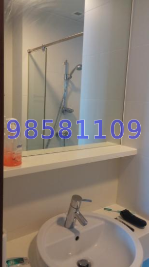 City Square Residences (D8), Condominium #41375482